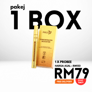 Pakej 1 Probee